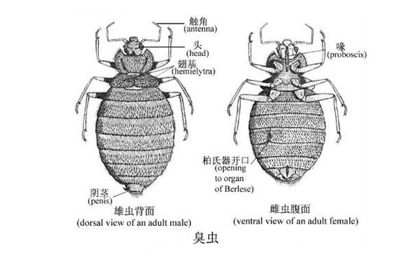 1536283835.jpg 20170901101352569.jpg
