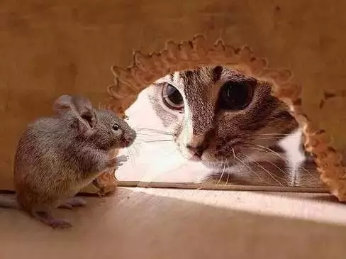 1547087228.jpg 640.webp (5).jpg