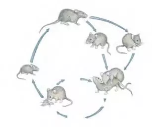 1547087258.jpg 640.webp (7).jpg