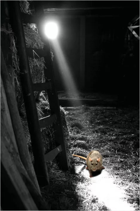 1557717595.jpg 640.webp (9).jpg