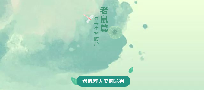 1571881295.jpg 1.jpg