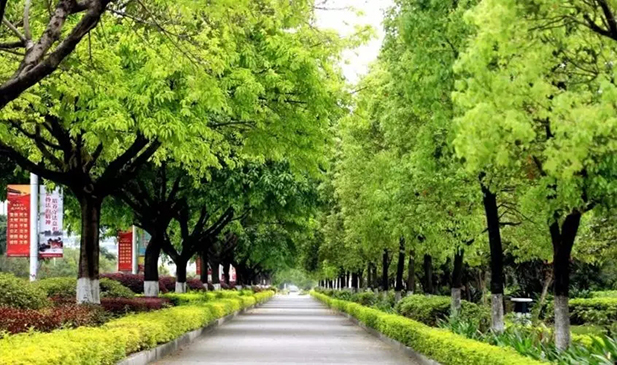 1571882503.jpg 2.jpg