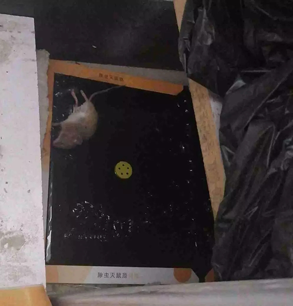 1571882739.jpg 4.jpg