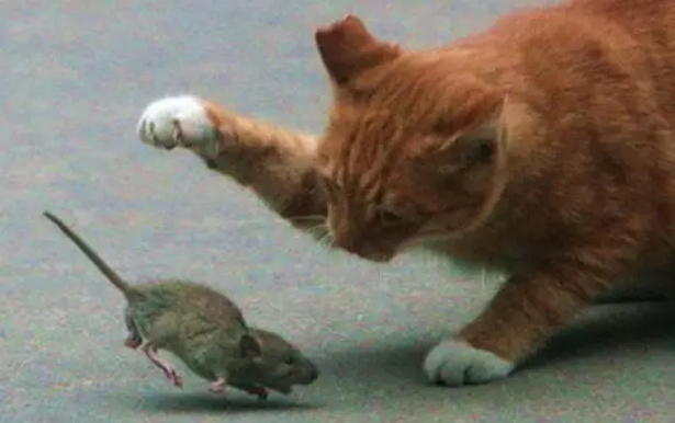 1571883257.jpg 7.jpg