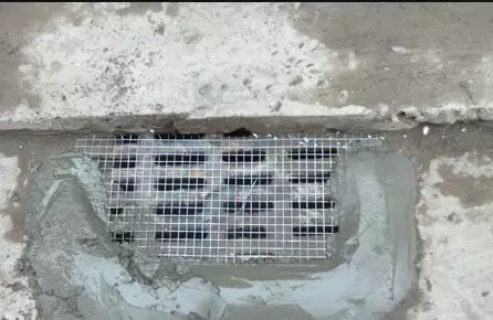 1571883274.jpg 640.webp (7).jpg