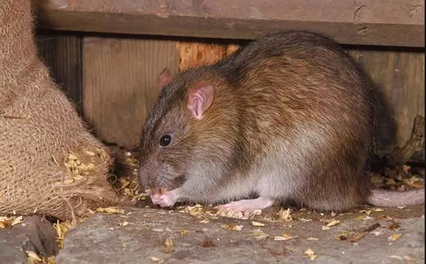 1571883639.jpg 6.jpg